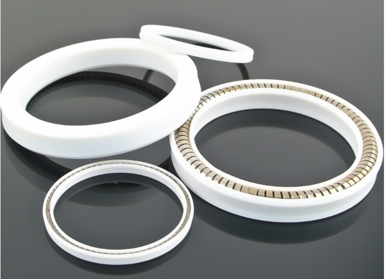 Customized LPI DKB DKBI DKBIZ DKI DWI DKH DWIR DSI LBH Vay Dust Wiper Mechanical Seal