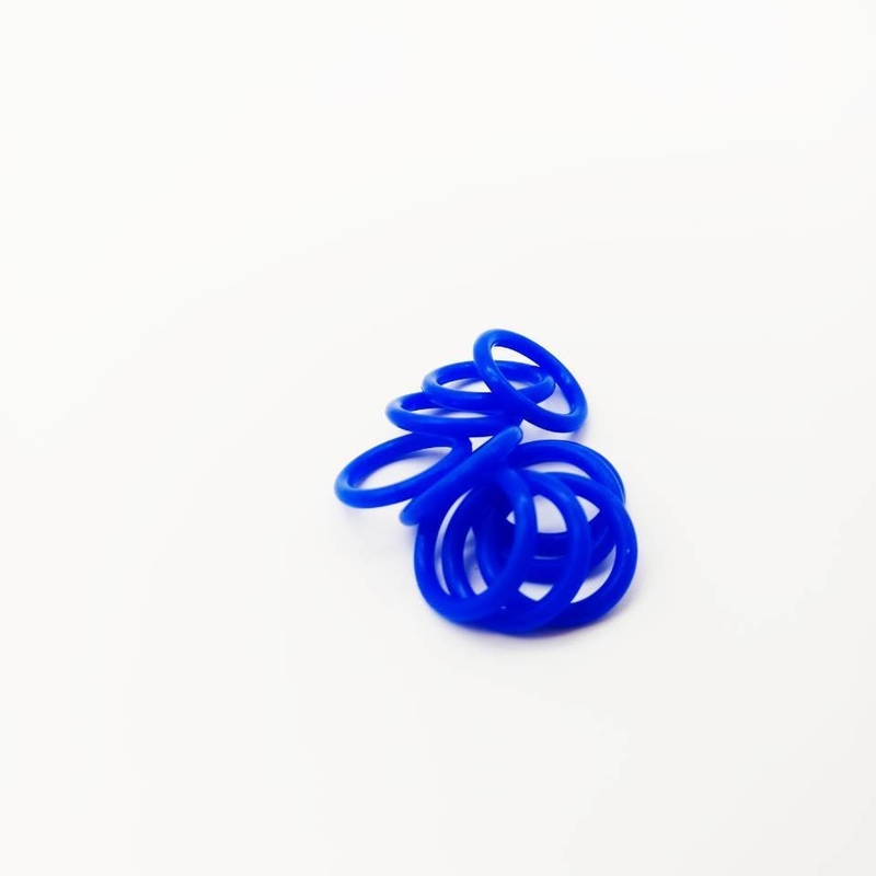 2D/3D Drawing Format O-Ring NBR FKM HNBR Silicone for Custom Large Size Sealing