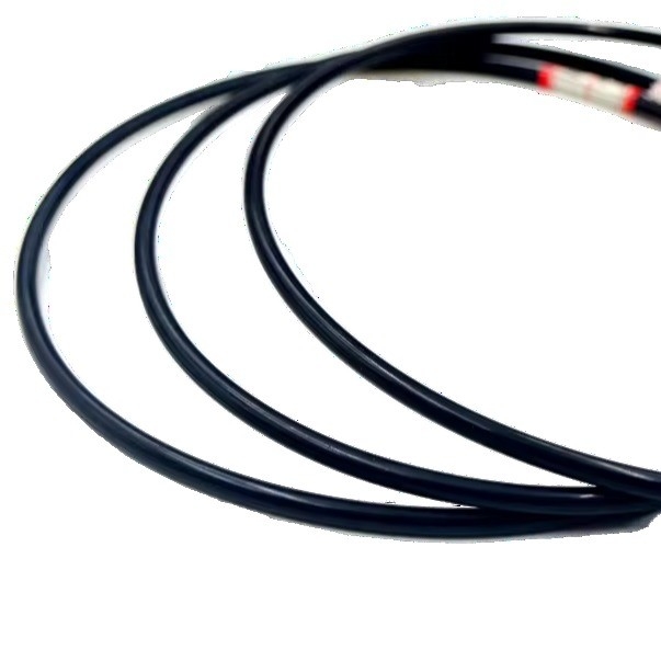 30-90 Shore A EPDM/NBR/FKM/Silicone Colored Big Fluoro O-Ring Seal for Air Compressor
